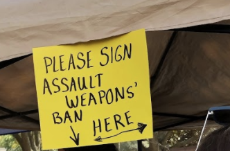 Image showing a sign for a petition to ban assault weapons