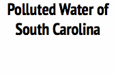 Polluted Water of South Carolina