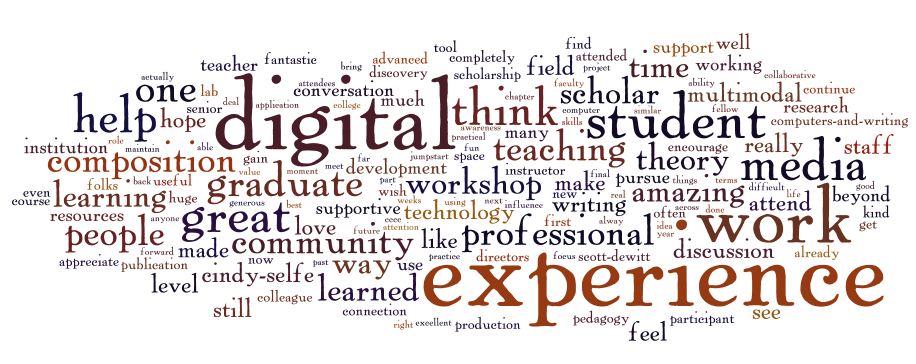 word cloud for responses to question of what else participants would like to say about DMAC as a professional development opportunity