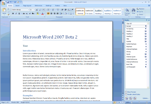 Screenshot of Microsoft Word
