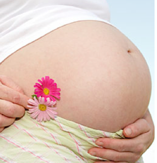 pregnant belly with a woman holding flower next to it.