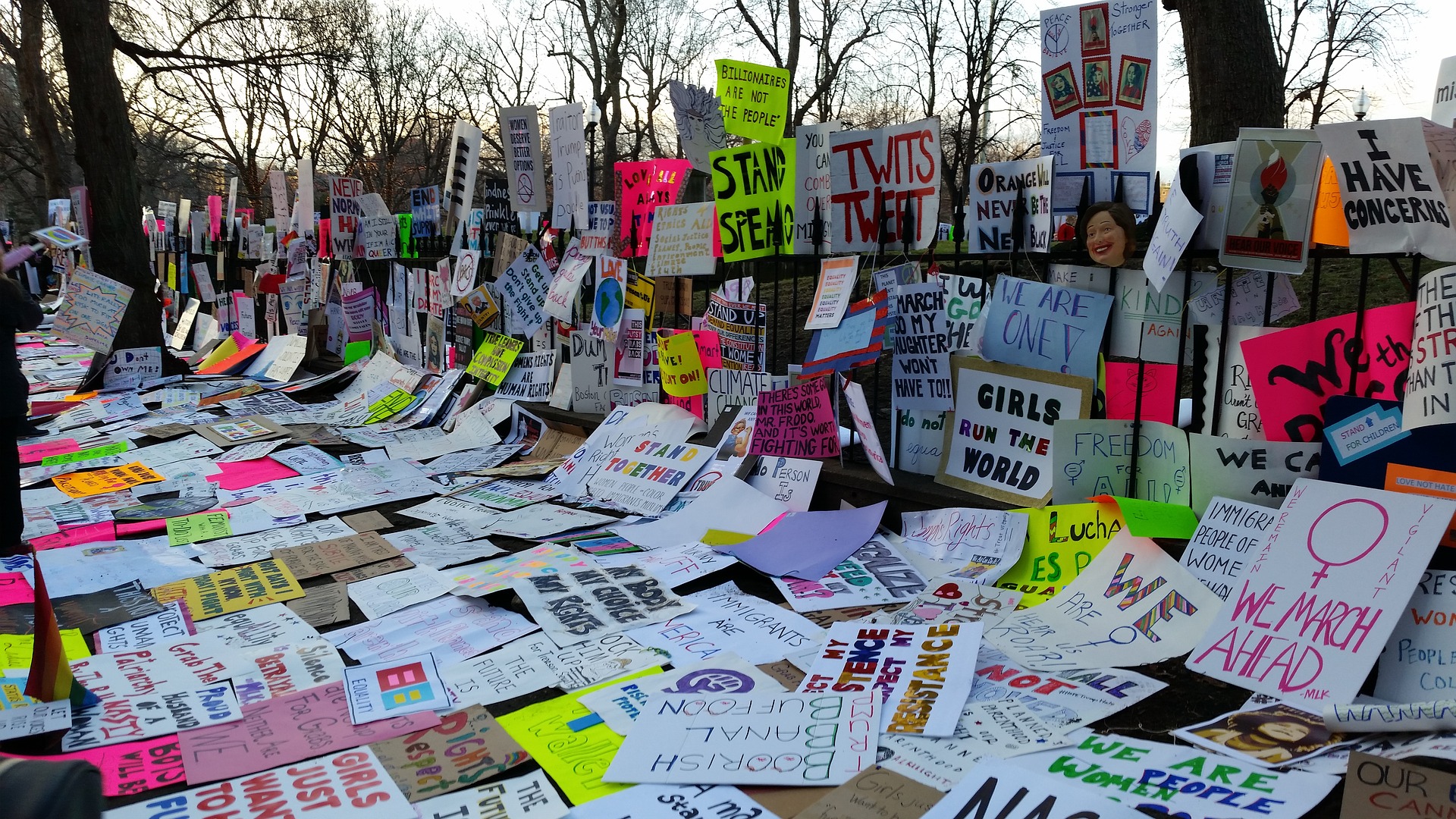 an image of a large number of protest signs from the Women's March collected on the sidewalk
